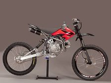 Motoped: A Moped-Mountain Bike Hybrid