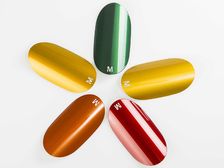 Merck Launches Meoxal Taklamakan Gold Automotive Pigments in India