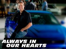 Paul Walker’s Crash; Porsche Experts To Investigate The Cause