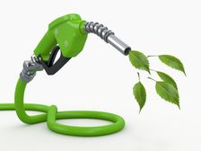 Bio-Fuel Cheaper In Future