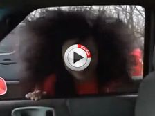 Man Driving Half A Car, Delivery Scooter Tips Over & Other Videos