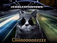 Maruti Suzuki Commence Ciaz Campaign With 'Cool Cat' Video