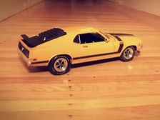 Mustang's Have Fun When No One Is Around