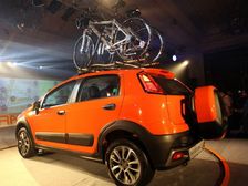 Fiat Avventura Bookings On A Rise