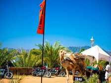 Harley-Davidson Biggest Zonal Rally Till Date In India