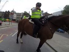 Suzuki GSXR Owner Gets A Telling Off By Policeman On Horse