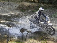 Triumph Motorcycles To Launch Tiger Twins In India Tomorrow