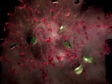 Video: Airbags—What 1/100th Of A Second Means