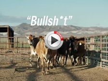 Toyota Showcases Its Mirai Can Be Powered By Cow Dung