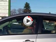 Video: Dog Honks Car Horn After Owner Takes Too Long In The Store