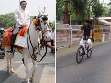 BJP Officials Use Horses & Cycles For Odd/Even Scheme