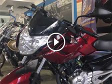 Cocktail Wine Red Paint Now Available On The Most Affordable Pulsar