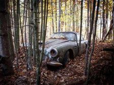 After Rotting In The Forest For Nearly 50 Years, A Classic Aston Martin DB4 Heads To The Auction