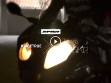 ‘The Snake’: SPIDI Brand Ambassador ‘BUCKY’ Takes On Mulholland Highway