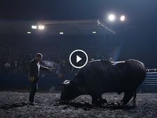 New Audi S5 — Progress Is Never Backing Down