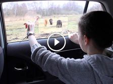 Toyota's Window To The World Is The Future Of Car Windows