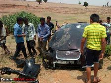 Jaguar XF Hits A Buffalo — The Results Are Devastating!