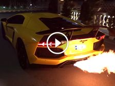 Fire Spitting Raging Bull From Bangalore Has Anger Issues