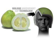 BMW Inspired By A Fruit To Offer Protection