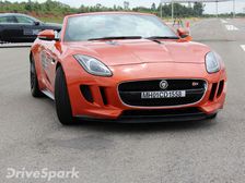 Jaguars On The Prowl In The Garden City — Exploring The Art Of Performance