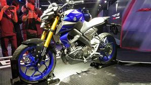 Yamaha MT-15 India Launch Details Revealed