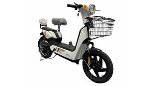 Detel Easy Electric Moped Launched In India: Priced At Rs 19,999