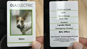 Ola's Adorable Dog Employee Taking Over Hearts - Meet 'Bijlee'