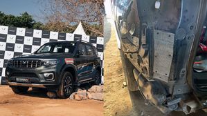 Rodent Infestations in Cars? Here’s A Proven Way To Fight Back