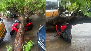 Ather 450 Electric Scooter Survives Tree Fall During Heavy Rain In Bengaluru