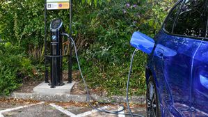 New Partnership Between BMW UK And New Forest Enhances Eco-Friendly Travel