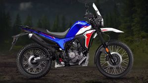 Hero Xpulse 210 Vs Xpulse 200 4V: Powertrain, Suspension, & More