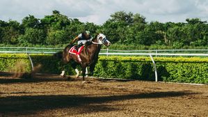 Kentucky Derby 2025 Broadcast & Top Contenders Revealed: Get Ready For The Most Exciting Two Minutes In Sports