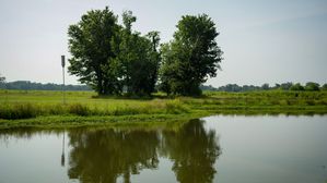 Toyota Tennessee And NEEF Launch $150,000 Grant For Middle Fork Bottoms State Park Education And Conservation