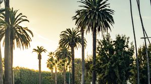 Urban Automotive Expands To USA With New Division To Enhance Customer Experience