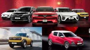 VinFast To Launch More Affordable Electric Cars In India: MPV, Hatchback & Micro EV Coming Soon