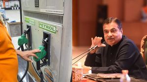 Nitin Gadkari Says Buy Costlier Pure Petrol If You Don't Want E20 Fuel