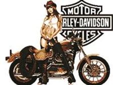 ഹാര്‍ലി ഡേവിഡ്‌സണ്‍ കേരളത്തിലേക്ക്