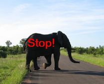 വോള്‍വോ മൃഗസംരക്ഷണത്തിന്