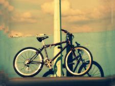 ഇന്ന് കാറുകളുടെ ശിവരാത്രി