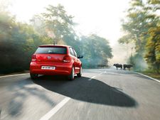 പോളോയ്ക്ക് ഹൈബ്രിഡ് പതിപ്പ്