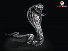 പഞ്ചറിനെ പേടിക്കേണ്ട