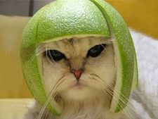 ഇന്ത്യയില്‍ വില്‍ക്കുന്നതില്‍ 85%വ്യാജ ഹെല്‍മെറ്റ്