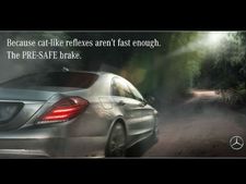 കോഴിയെ തിന്ന ജാഗ്വറിന് മെര്‍കിന്റെ മറുപടി