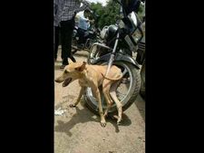 എങ്ങനെ സാധിക്കുന്നു ഇതെല്ലാം...!!?