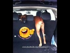 ചിരിയിലേക്കില്ല പുഷ്പപാതകള്‍...!