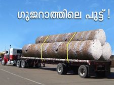 ഗുജറാത്തിലെ പുട്ടും പുട്ടുകുറ്റിയും