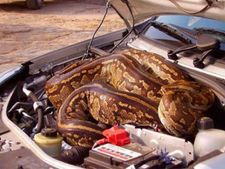 പര്‍ഞ്ഞ് പര്‍ഞ്ഞ് നമ്മളെത്തിയ ഇടം