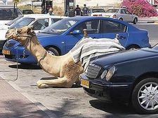 പാര്‍ക്ക് ചെയ്യാനിടമില്ലാത്ത നാട്ടില്‍ പാര്‍ക്കുമ്പോള്‍