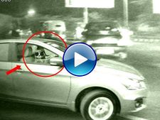 മാരുതി സിയാസ് 'നഗരത്തിലെ പൂച്ച' പരസ്യം വൈറലാകുന്നു