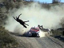 അന്തംവിട്ട വാഹനാപകടങ്ങള്‍